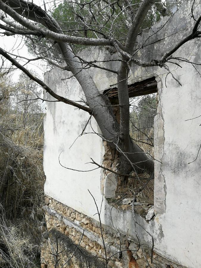 Casa Rural Rio Cabriel Villamalea Exterior photo